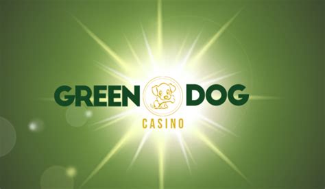Green dog casino aplicação